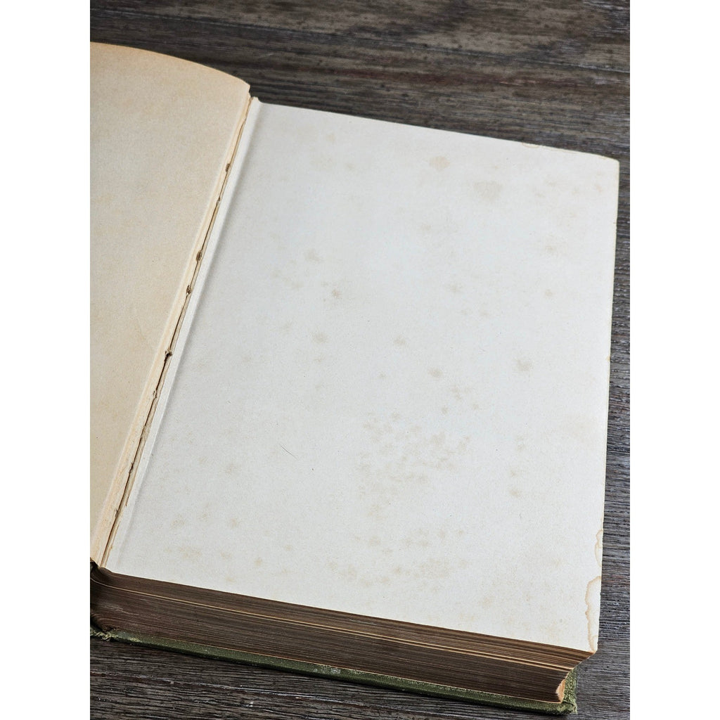 1923 The Story of the Walloons William Elliot Griffis HC History