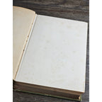 1923 The Story of the Walloons William Elliot Griffis HC History