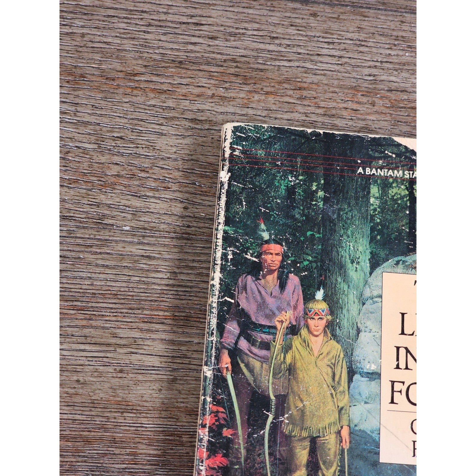 The Light in the Forest Conrad Richter Bantam 1968 Paperback
