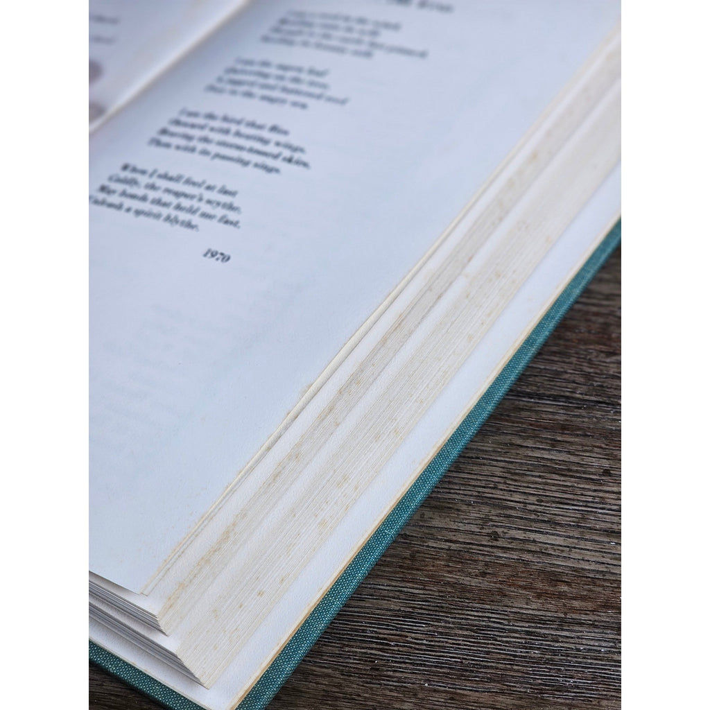 A Reed in the Wind 1970 First Edition Nora Kirwan Sterling HC