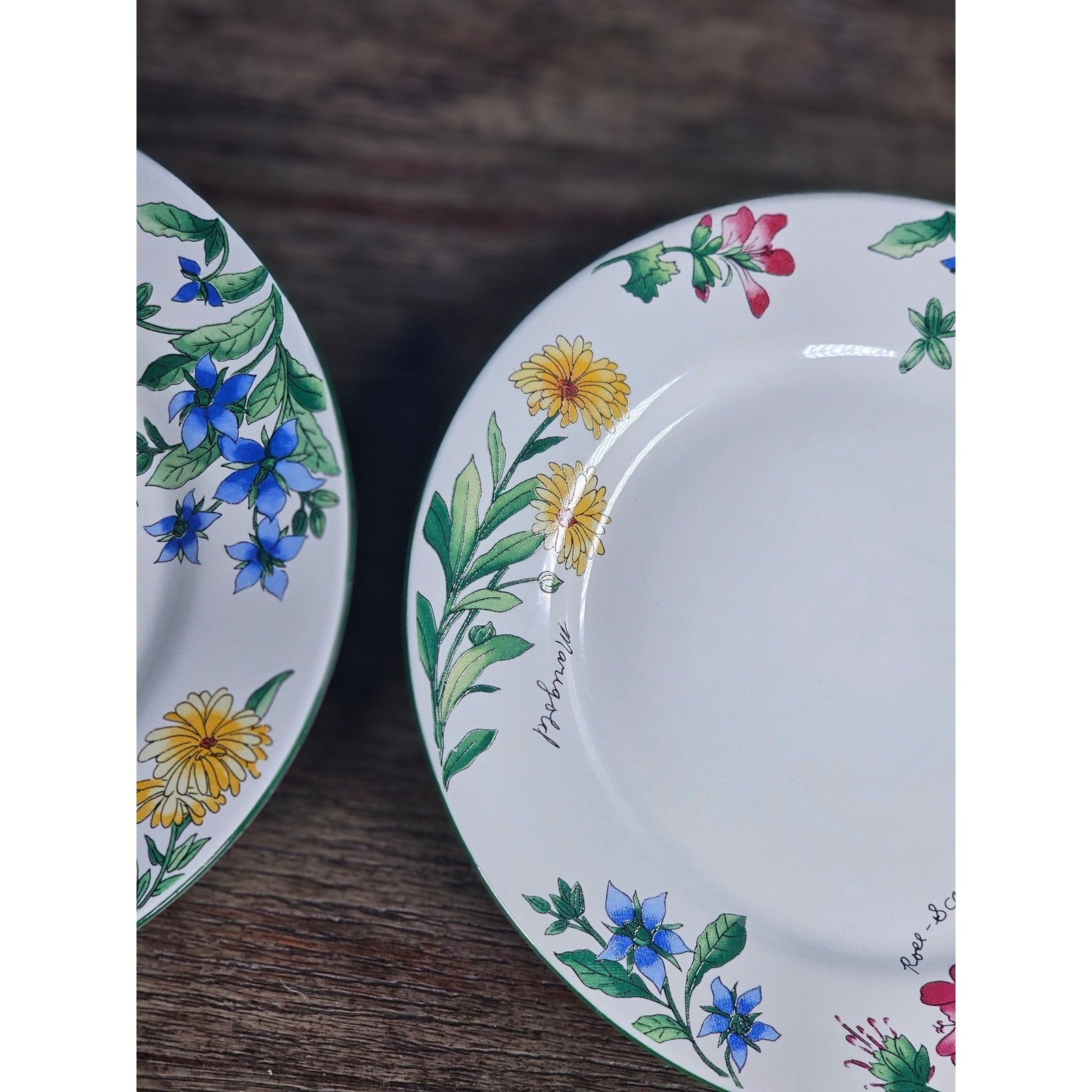 Vintage Majesticware Geranium Dessert Plates Set of 2 Sue Zipkin 8 Inch