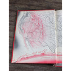 The American Nation John D Hicks 1958 Third Edition Hardcover