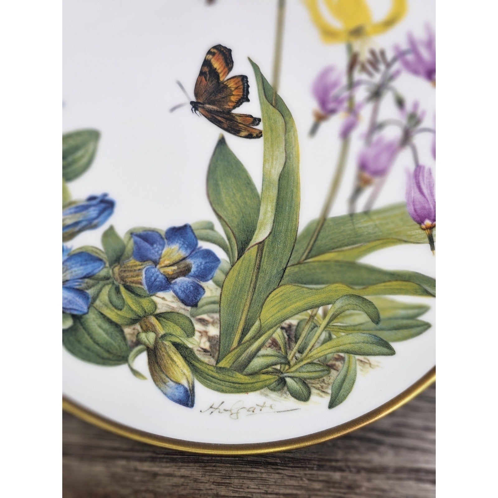 Franklin Mint Rocky Mountain Wildflowers Plate 1978 Porcelain