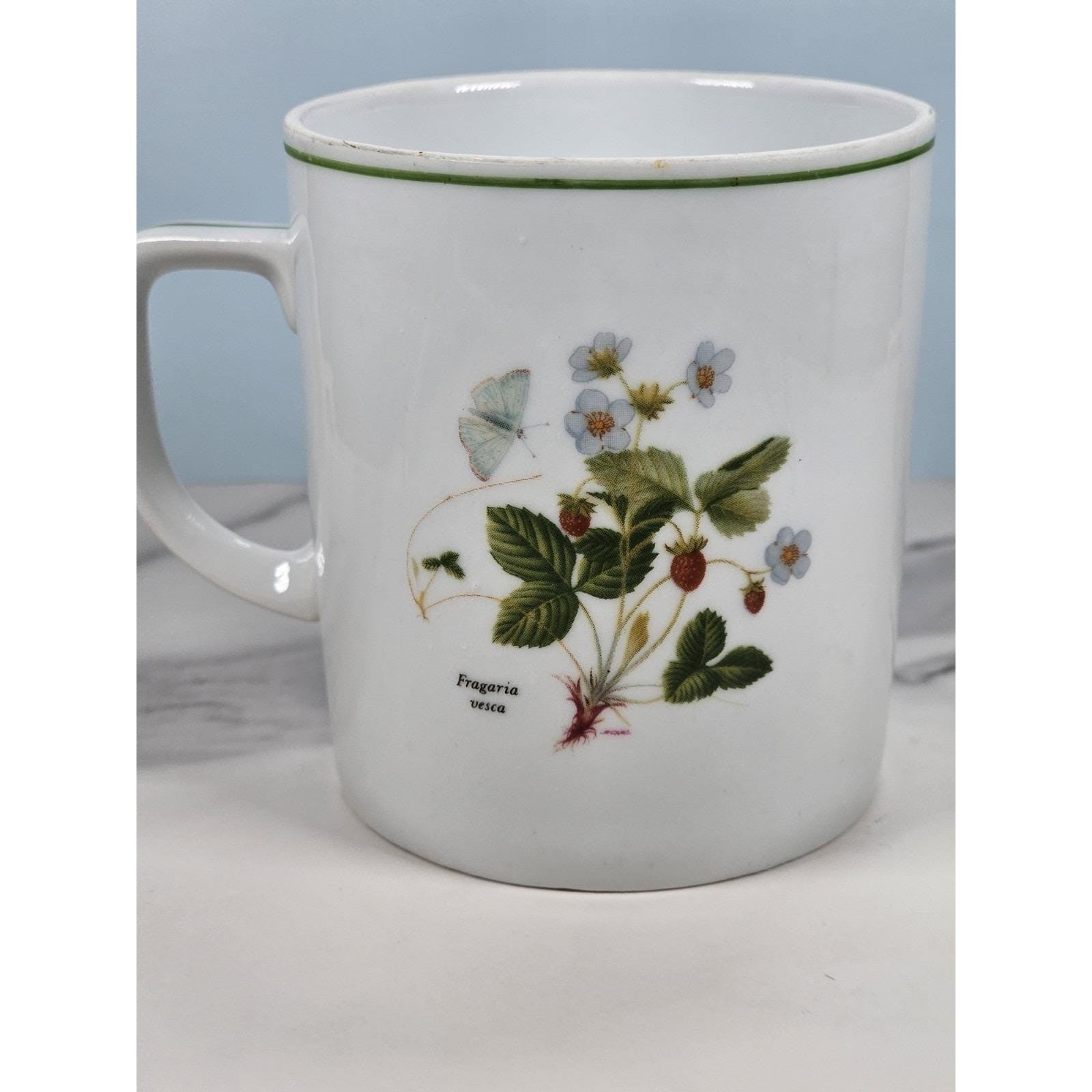 Vintage Lourioux French Porcelain Botanical Mug Sorbus Aucuparia