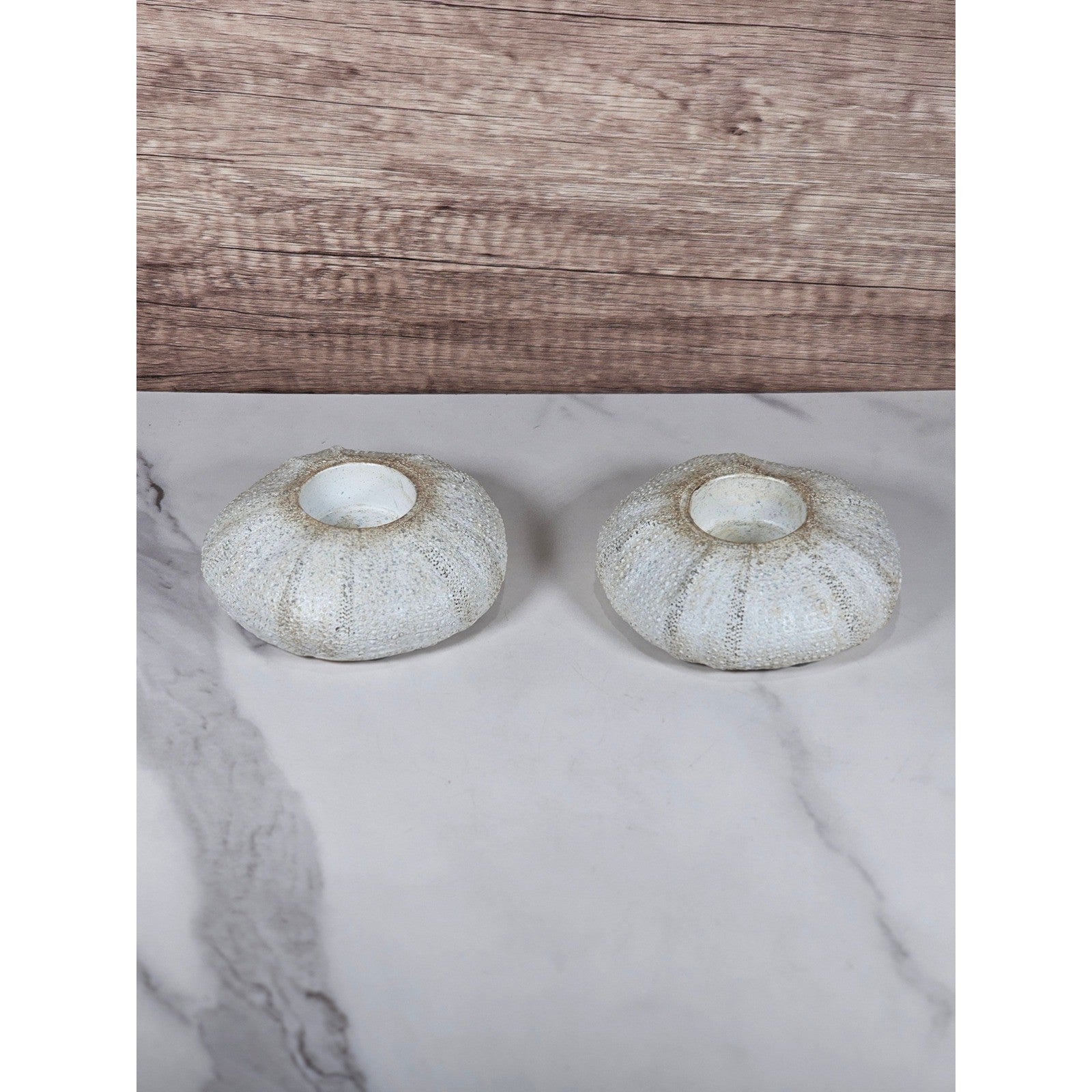 Vintage Sea Urchin Holders Set – Coastal Beach Decor – Textured Nautical Accents