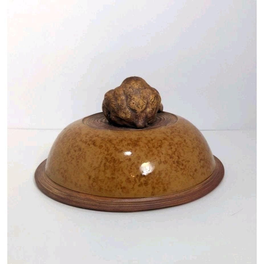 Ellen Evans Terrafirma Pottery Lid 1998 Garlic Brown Stoneware