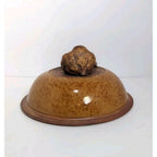 Ellen Evans Terrafirma Pottery Lid 1998 Garlic Brown Stoneware
