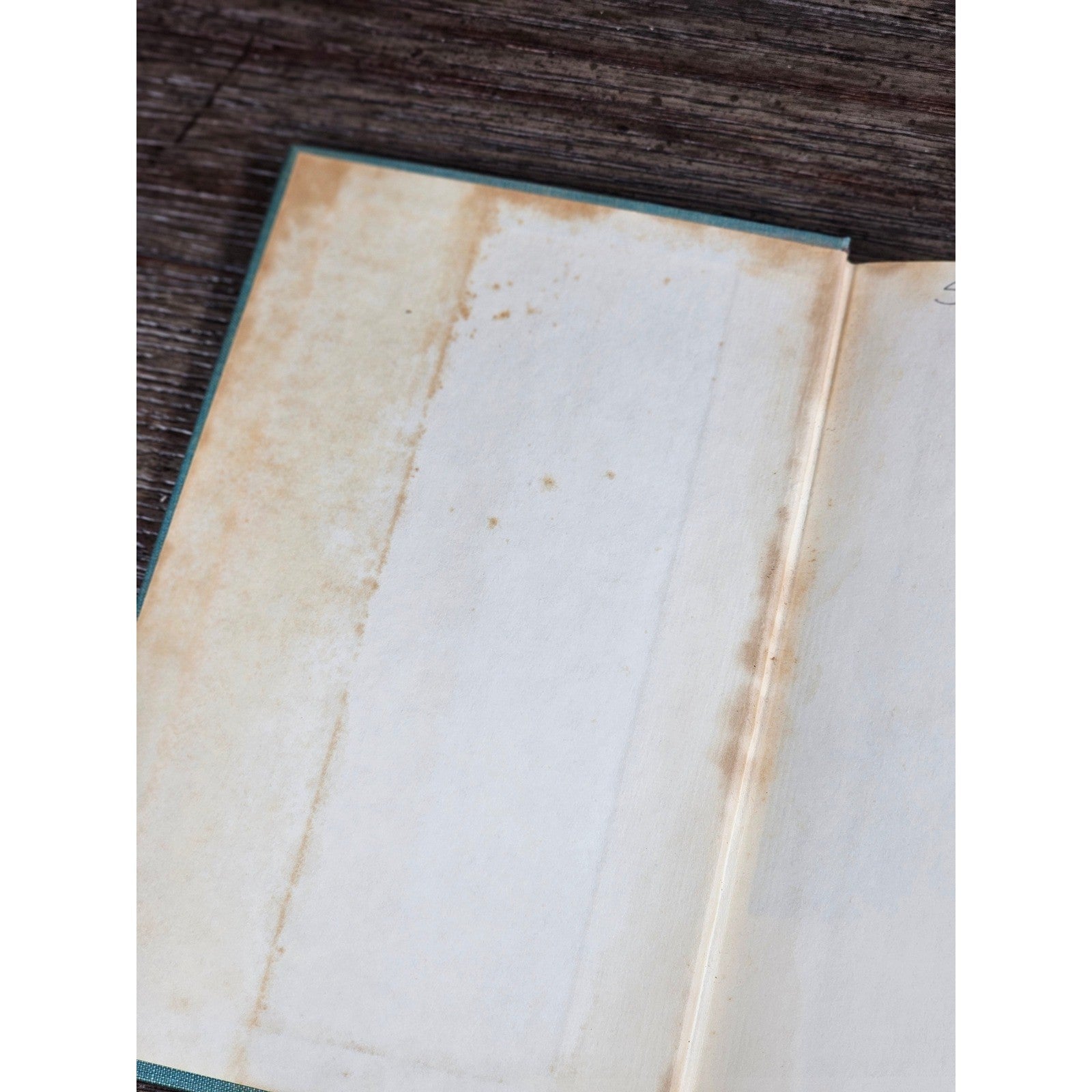 A Reed in the Wind 1970 First Edition Nora Kirwan Sterling HC