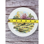 Vintage Currier & Ives Style Pastoral Plate Spring Farm Scene Japan 6.5"