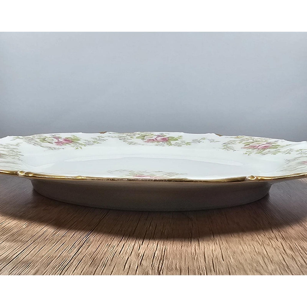 Royal Elite Limoges France Plate 9.5 Inch Vintage