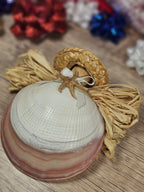 3x4 Sea Shell Angel Ornament with Starfish ~ Coastal Beach Christmas Decor