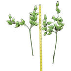 Artificial Hops Greenery Stem 16" Faux Botanical Rustic Decor