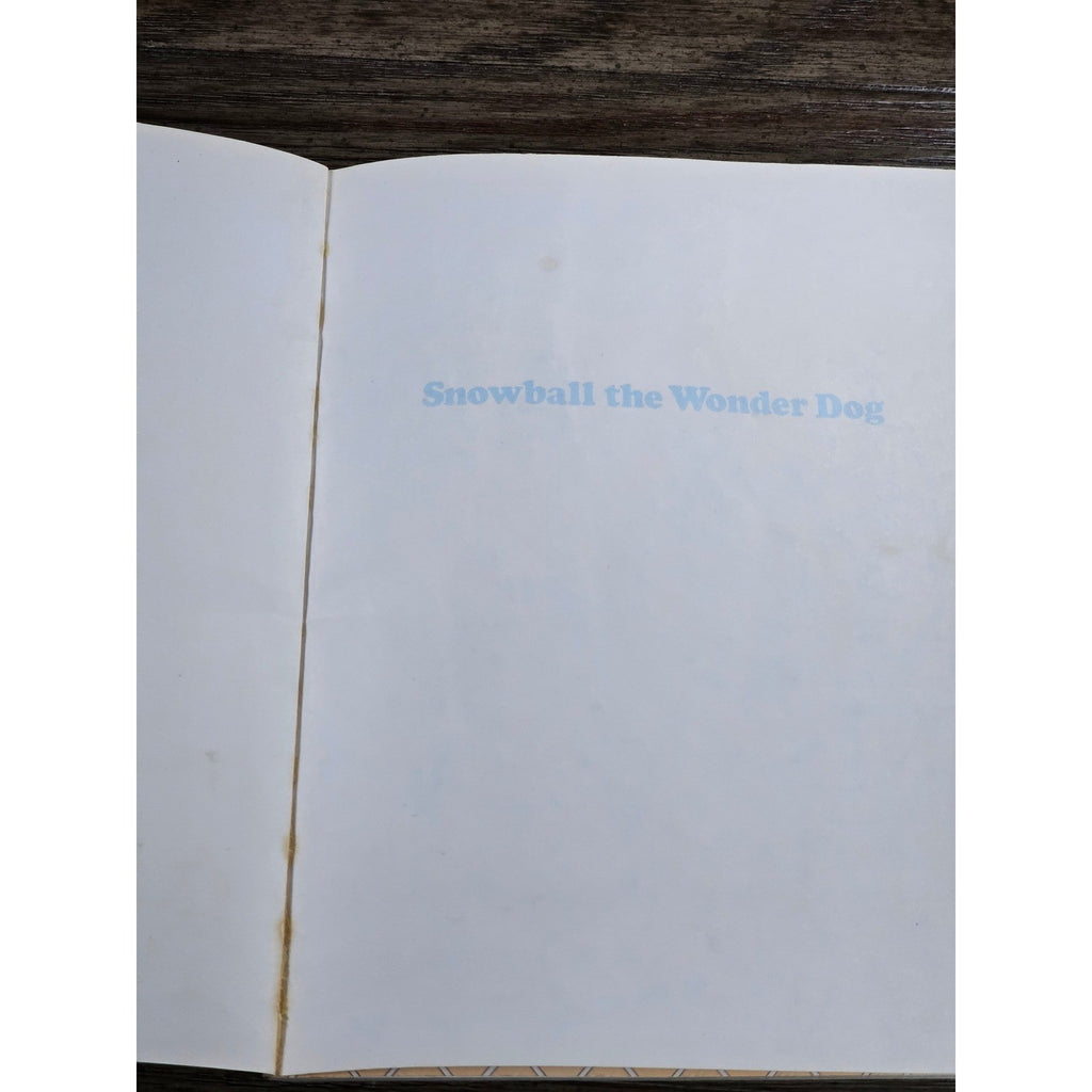 Snowball the Wonder Dog Golden Book 1986 Pound Puppies VTG Kids