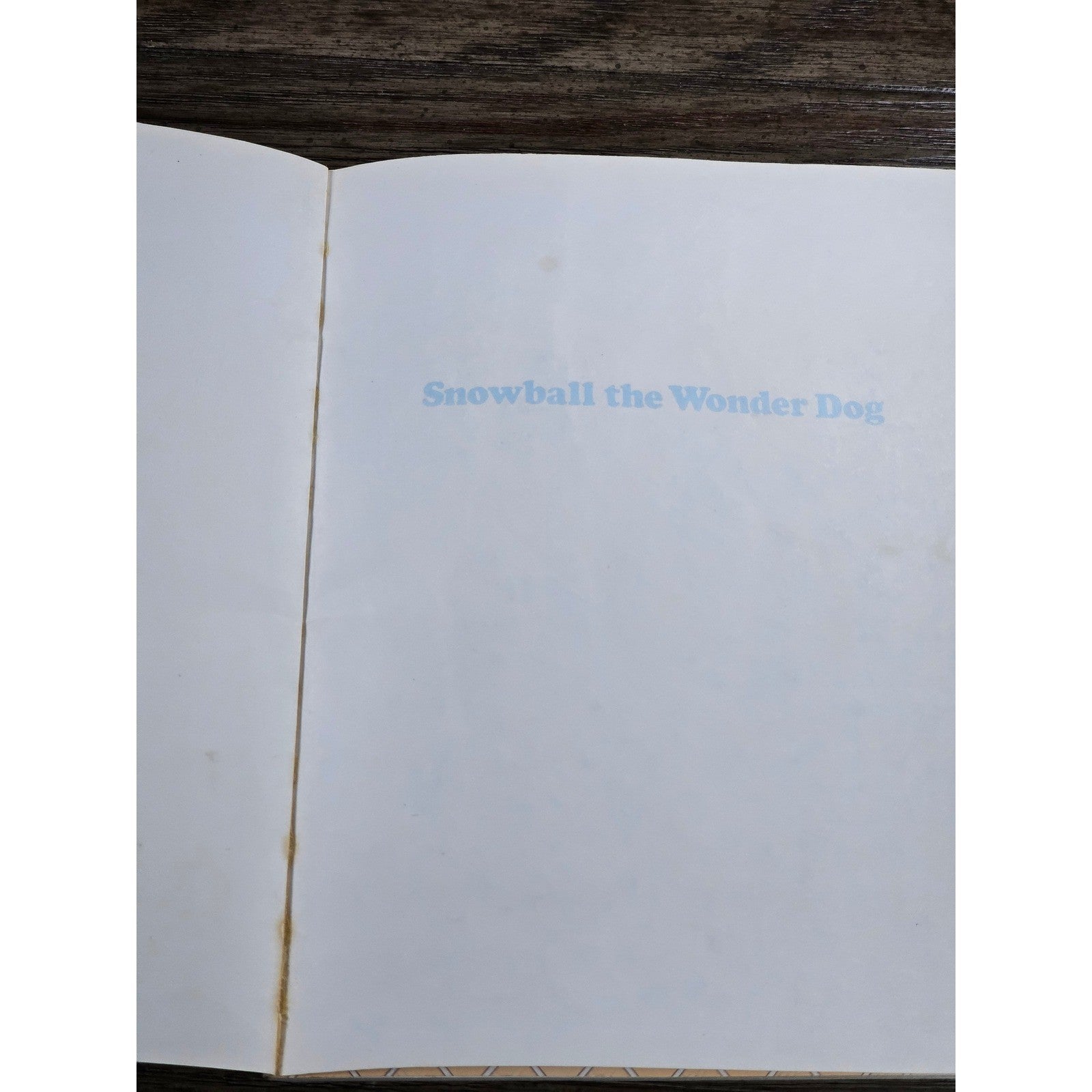 Snowball the Wonder Dog Golden Book 1986 Pound Puppies VTG Kids