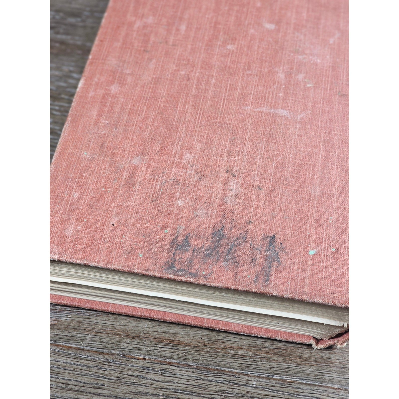 My Dogs in the Northland 1902 Egerton R Young Illustrated Book