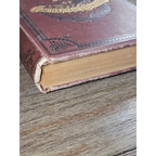 1880 Life of Zachariah Chandler Hardcover Detroit Post Tribune