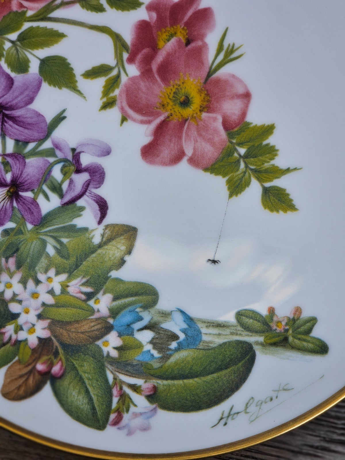 Cape Cod Wildflowers Plate – Franklin Porcelain Sierra Club 1978