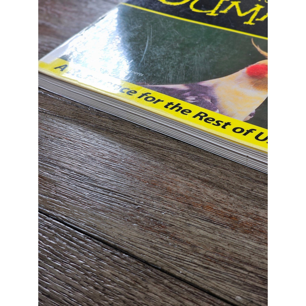 Cockatiels For Dummies by Diane Grindol 2001 Paperback Pet Care
