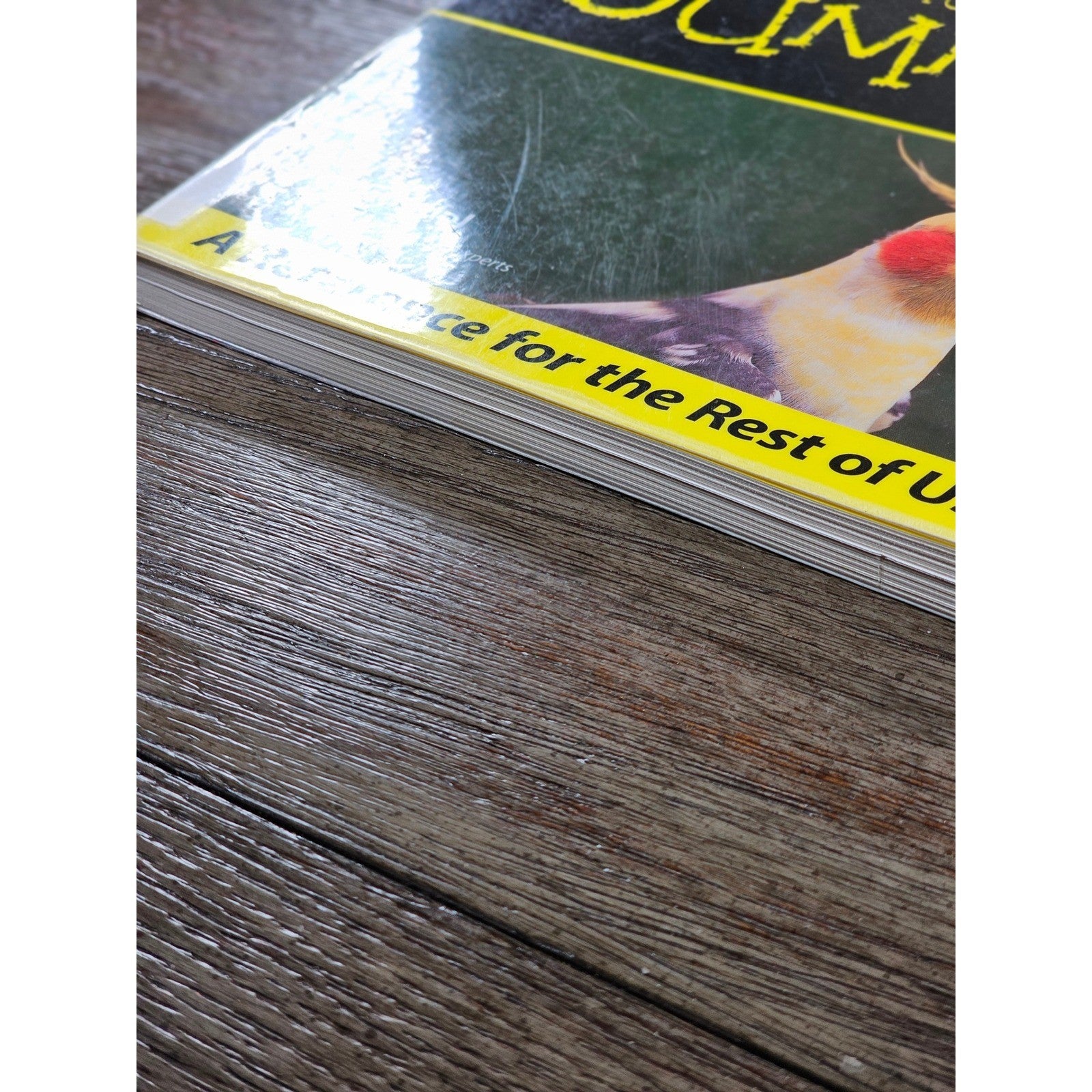 Cockatiels For Dummies by Diane Grindol 2001 Paperback Pet Care