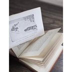 My Dogs in the Northland 1902 Egerton R Young Illustrated Book