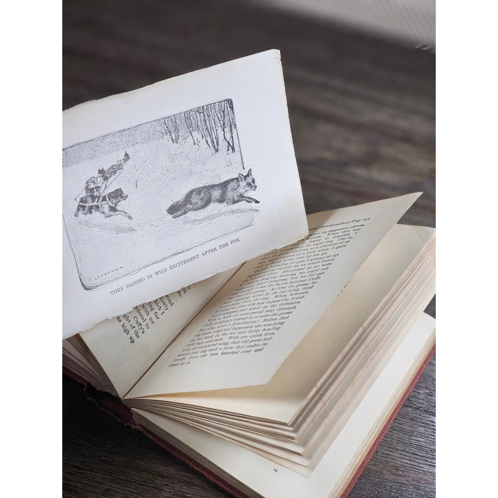 My Dogs in the Northland 1902 Egerton R Young Illustrated Book