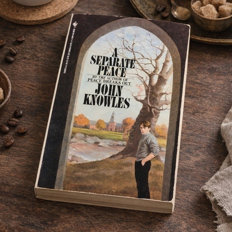 A Separate Peace John Knowles Bantam 1988 Paperback Vintage Novel