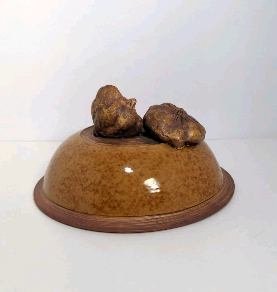 Terrafirma Ellen Evans Pottery 1998 Lid Garlic Brown Glaze Ceramic Covered Bowl