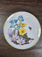 1978 Alaskan Wildflowers Plate – Sierra Club Wilderness Series – Franklin Porcel