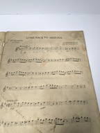 Antique 1916 Mandolin & Guitar Collection No. 17a – Louis Tocaben