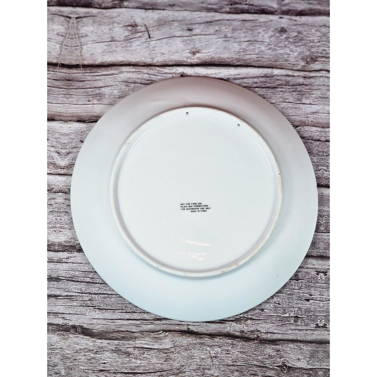 Vintage Oklahoma Buffalo Country Souvenir Plate 7 Inch Americana Decor