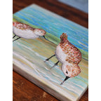 Original Coastal Sandpiper Acrylic Painting on Canvas Signed OOAK Wall Art