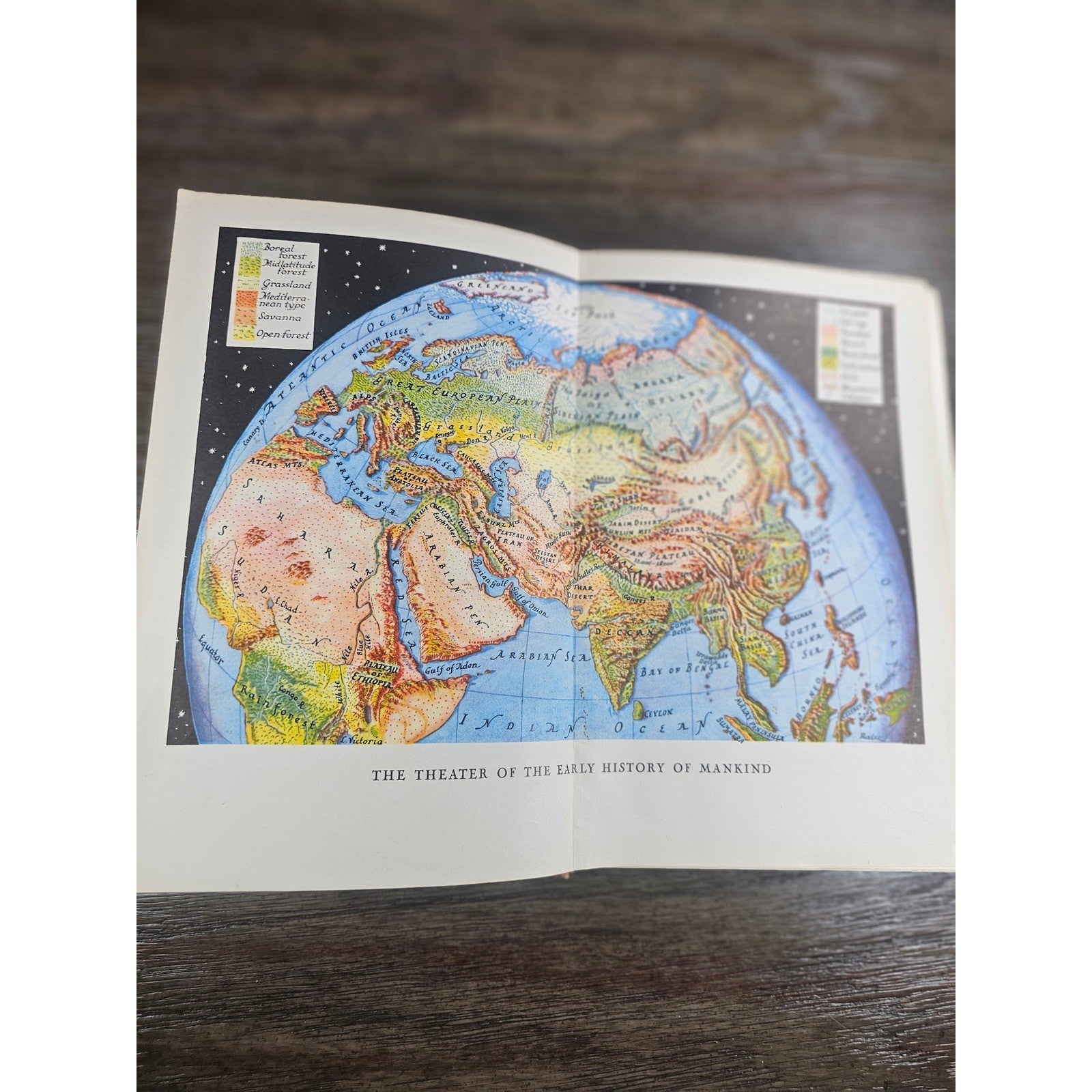 The Record of Mankind 1954 Hardcover D.C. Heath History Book Red