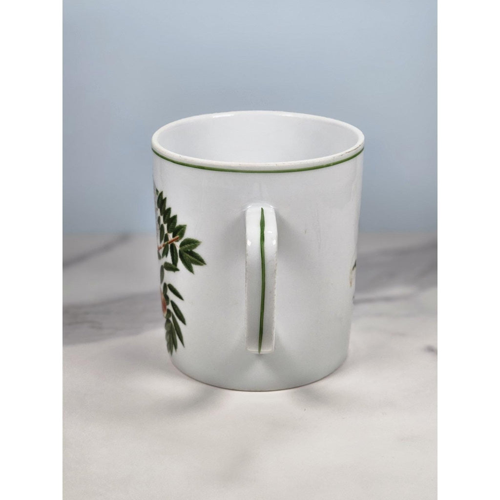 Vintage Lourioux French Porcelain Botanical Mug Sorbus Aucuparia