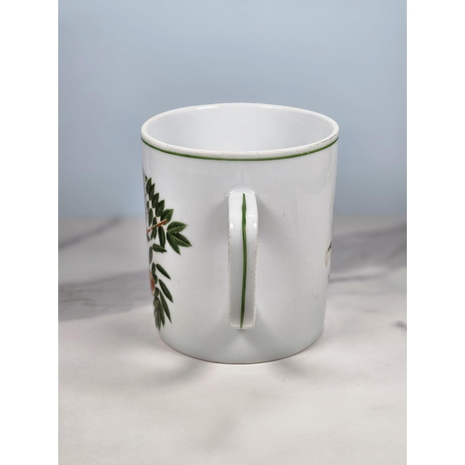 Vintage Lourioux French Porcelain Botanical Mug Sorbus Aucuparia