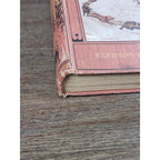 My Dogs in the Northland 1902 Egerton R Young Illustrated Book