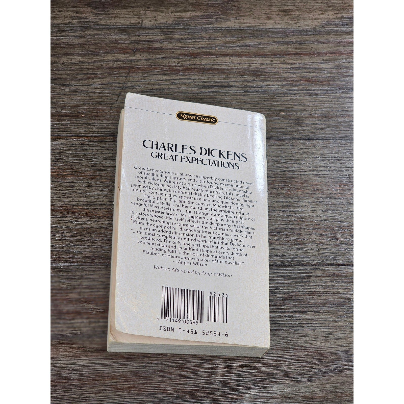 Vintage Great Expectations Charles Dickens Signet Classic Paperback
