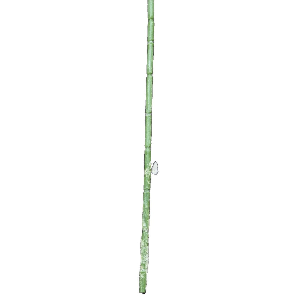 Artificial Hops Greenery Stem 16" Faux Botanical Rustic Decor