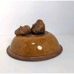 Ellen Evans Terrafirma Pottery Lid 1998 Garlic Brown Stoneware