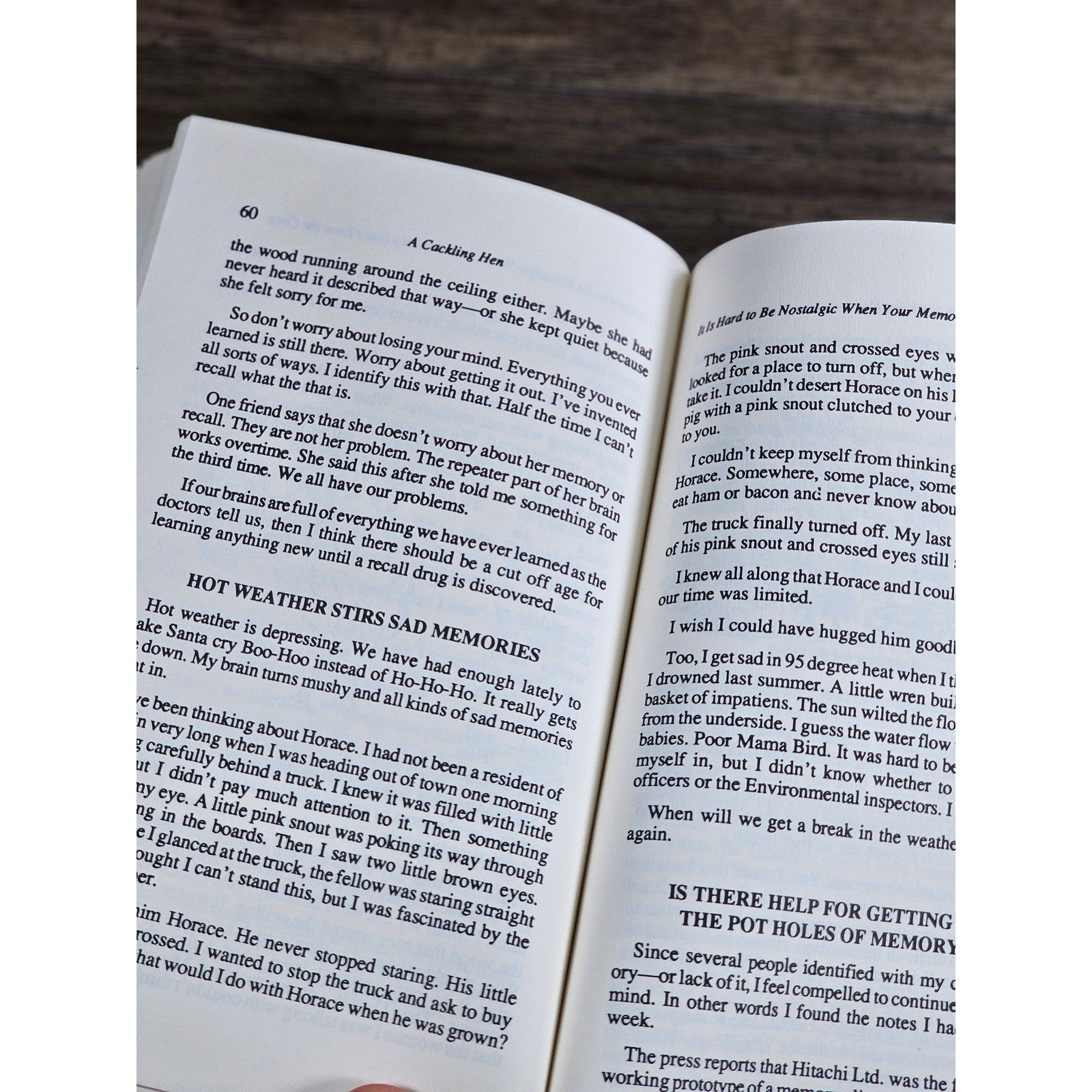 A Cackling Hen Louise Bashford Hunt 1990 NC Local Columns Book