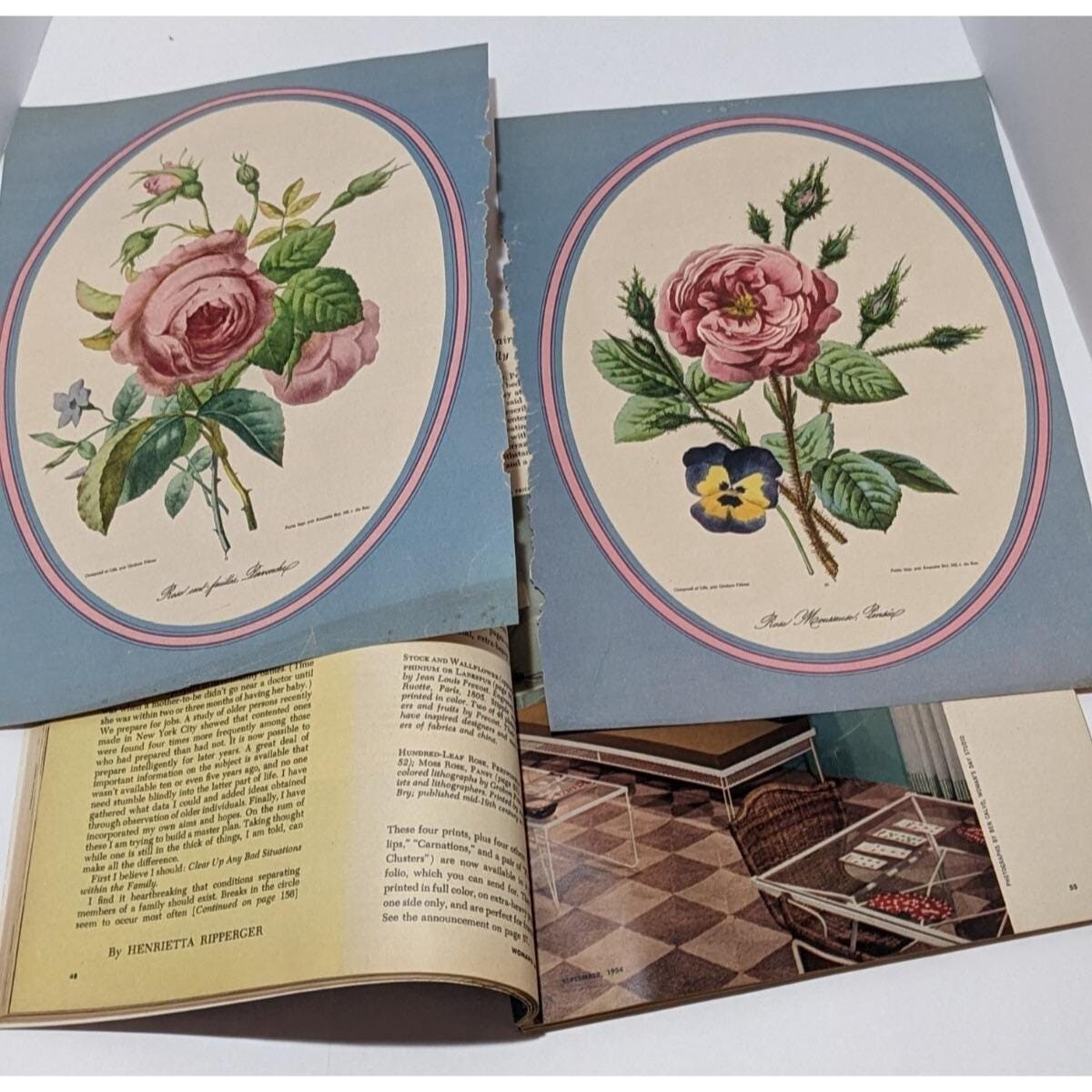 1954 Womans Day Magazine September Vintage Floral Prints Ephemera