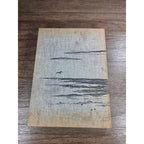 Vintage UNCW 1974 Yearbook – "Fledgling" Hardcover
