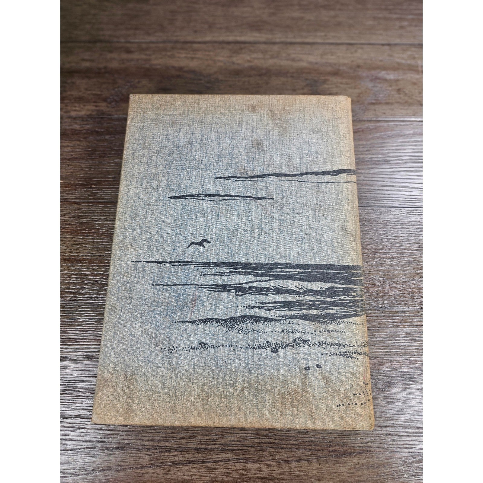 Vintage UNCW 1974 Yearbook – "Fledgling" Hardcover