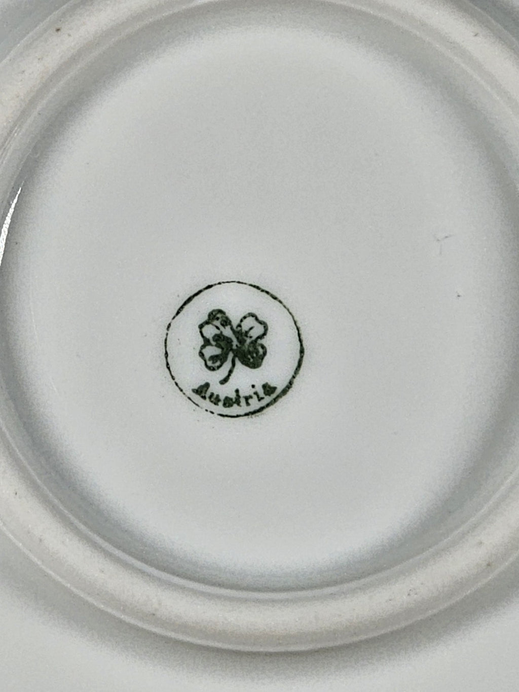 11″ Austria Floral Plate Platter Vintage Porcelain Hand-Painted Gold Trim Rustic