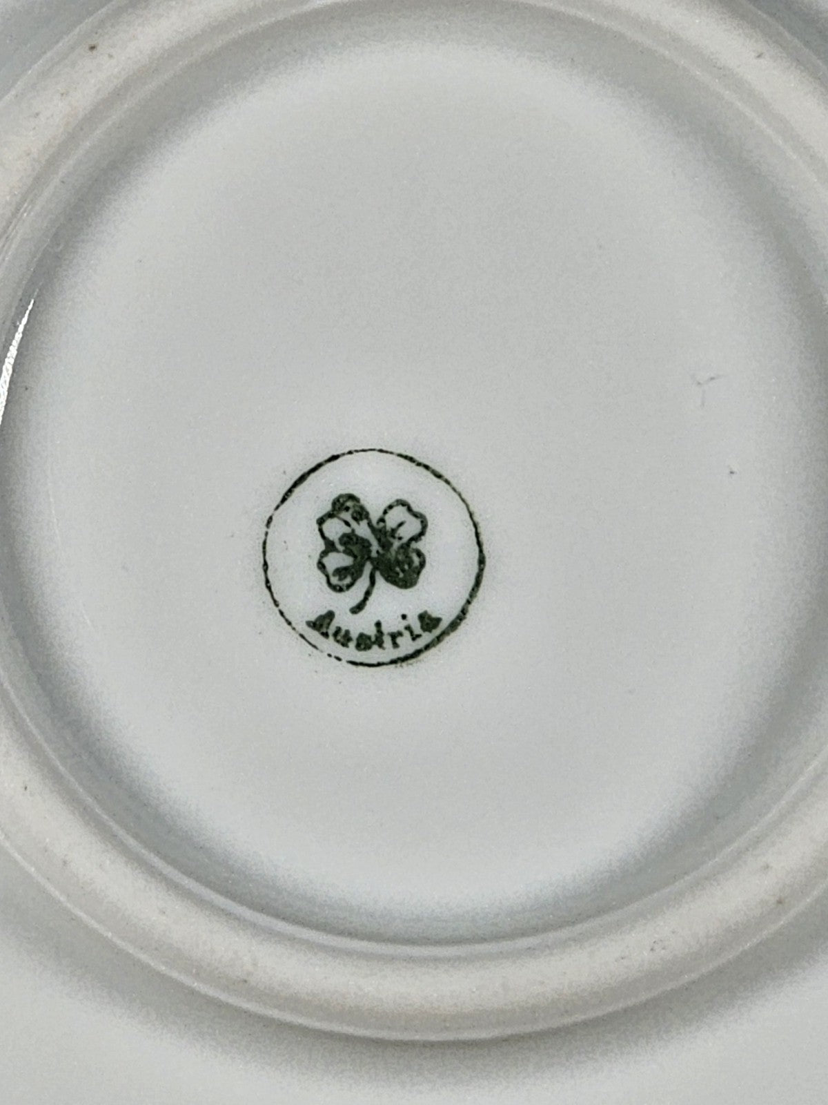 11″ Austria Floral Plate Platter Vintage Porcelain Hand-Painted Gold Trim Rustic