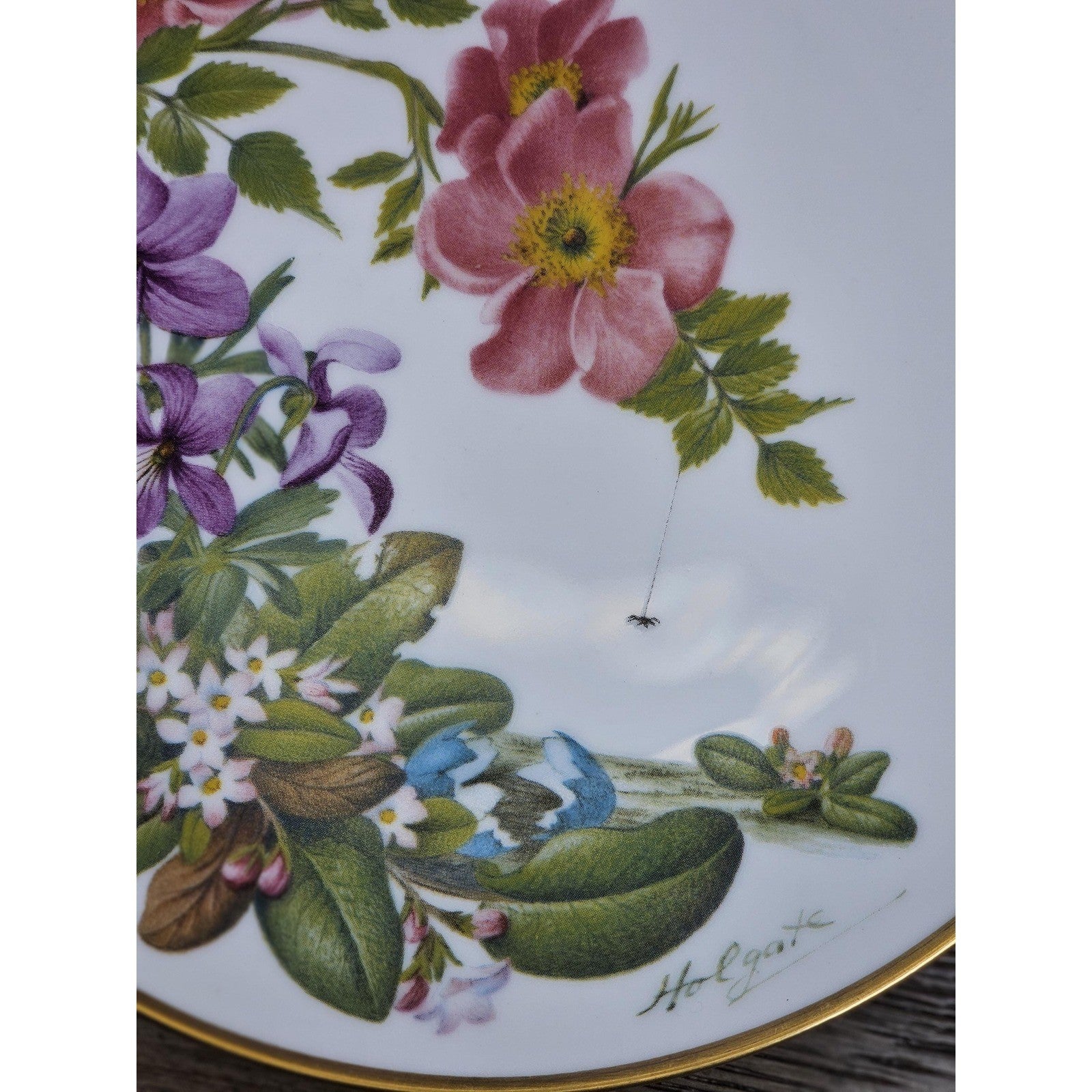Franklin Mint Cape Cod Wildflowers Plate 1978 Porcelain