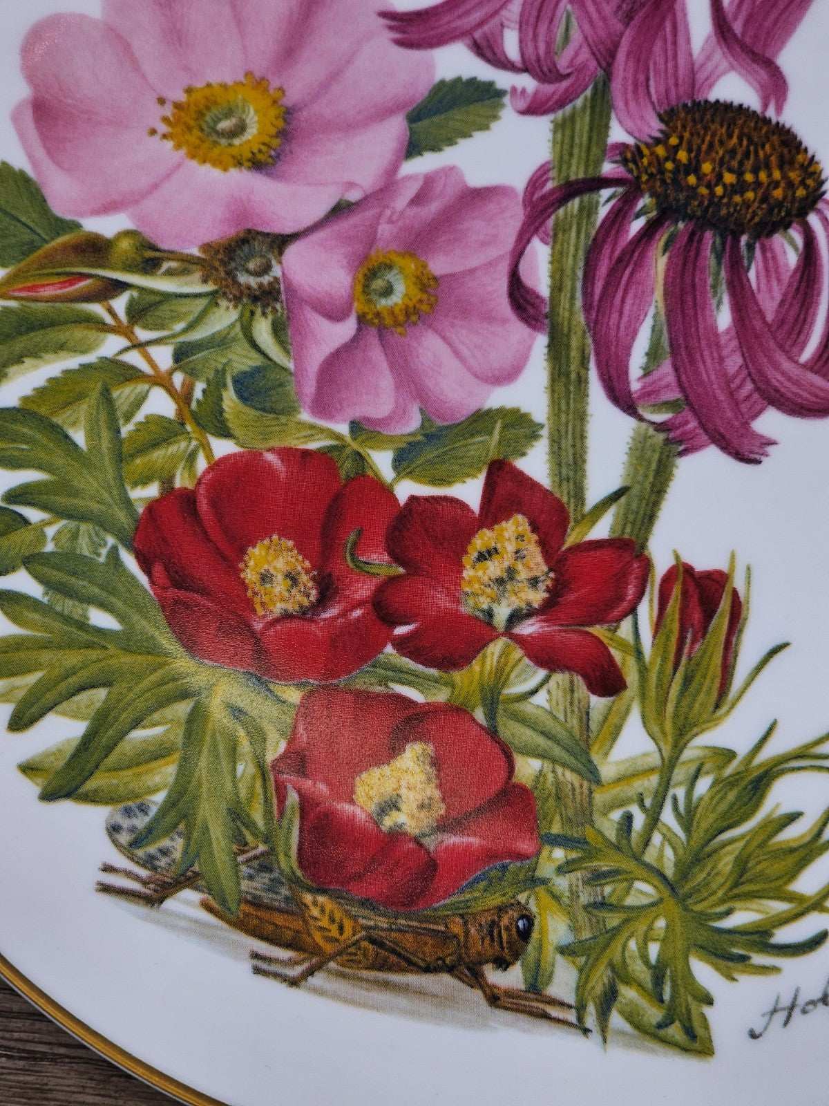 Franklin Mint – Sierra Club’s “Wildflowers of the Prairies” Plate – 7 3/4"