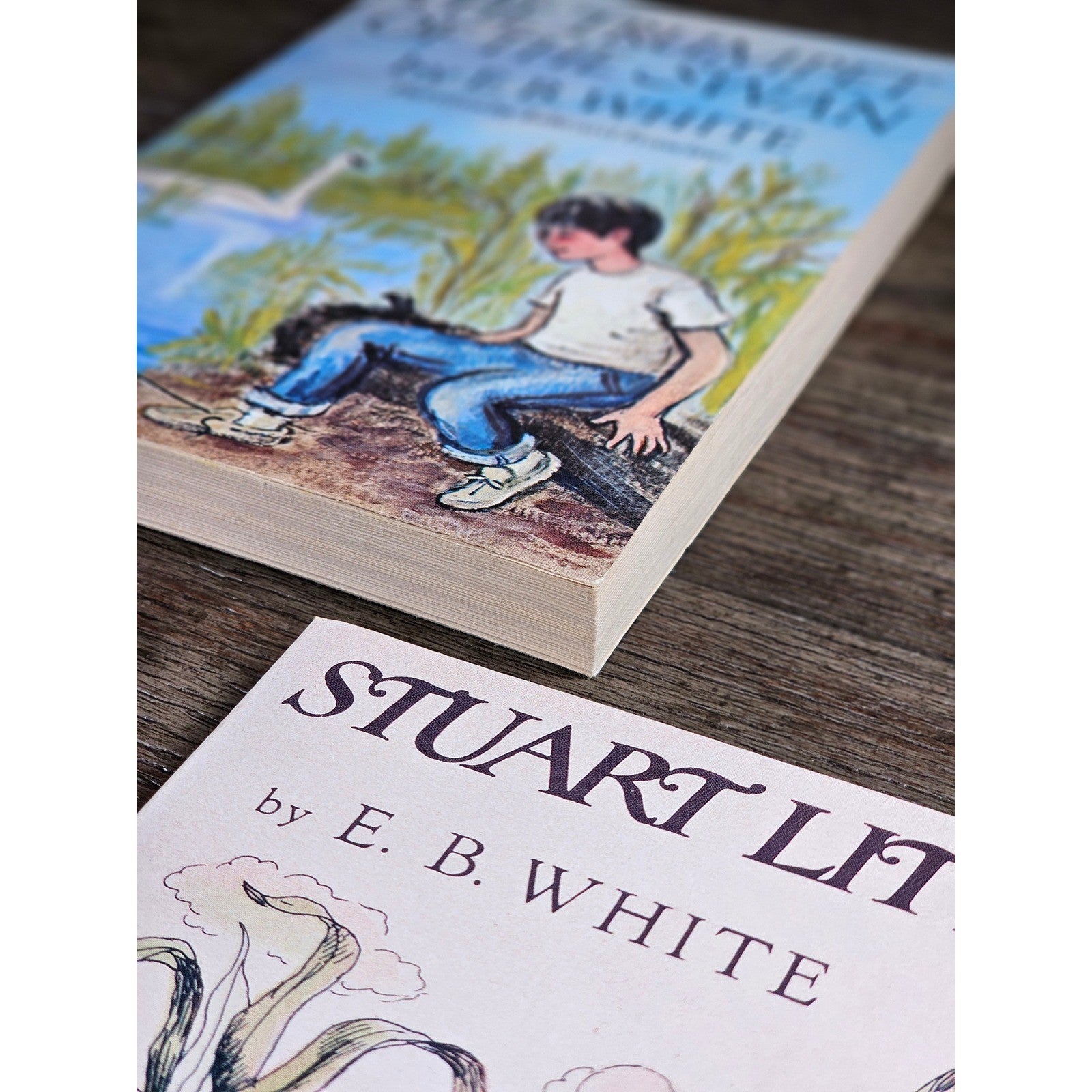 E.B. White Boxed Set 3 Books 1987 Scholastic Worn Slipcase