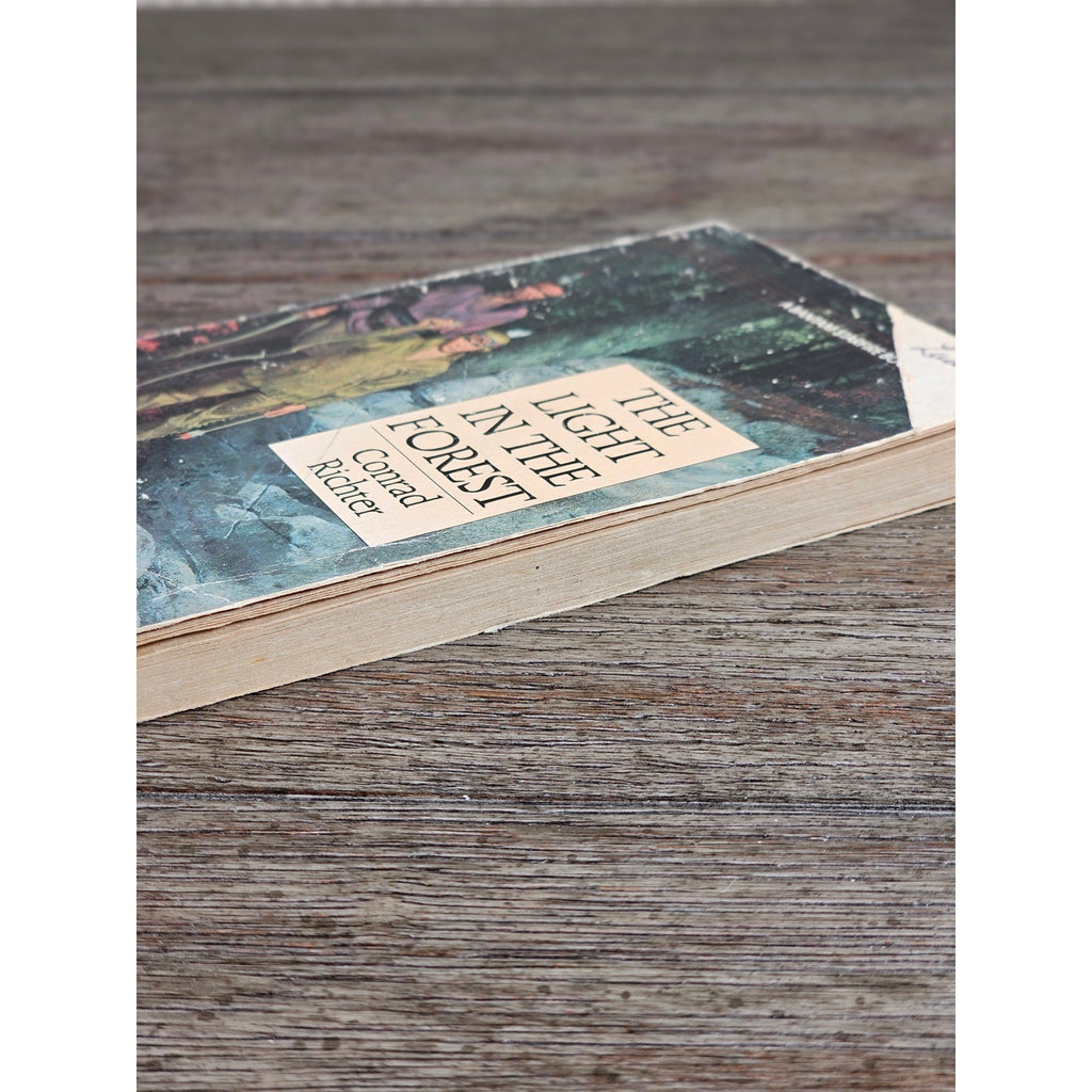 The Light in the Forest Conrad Richter Bantam 1968 Paperback