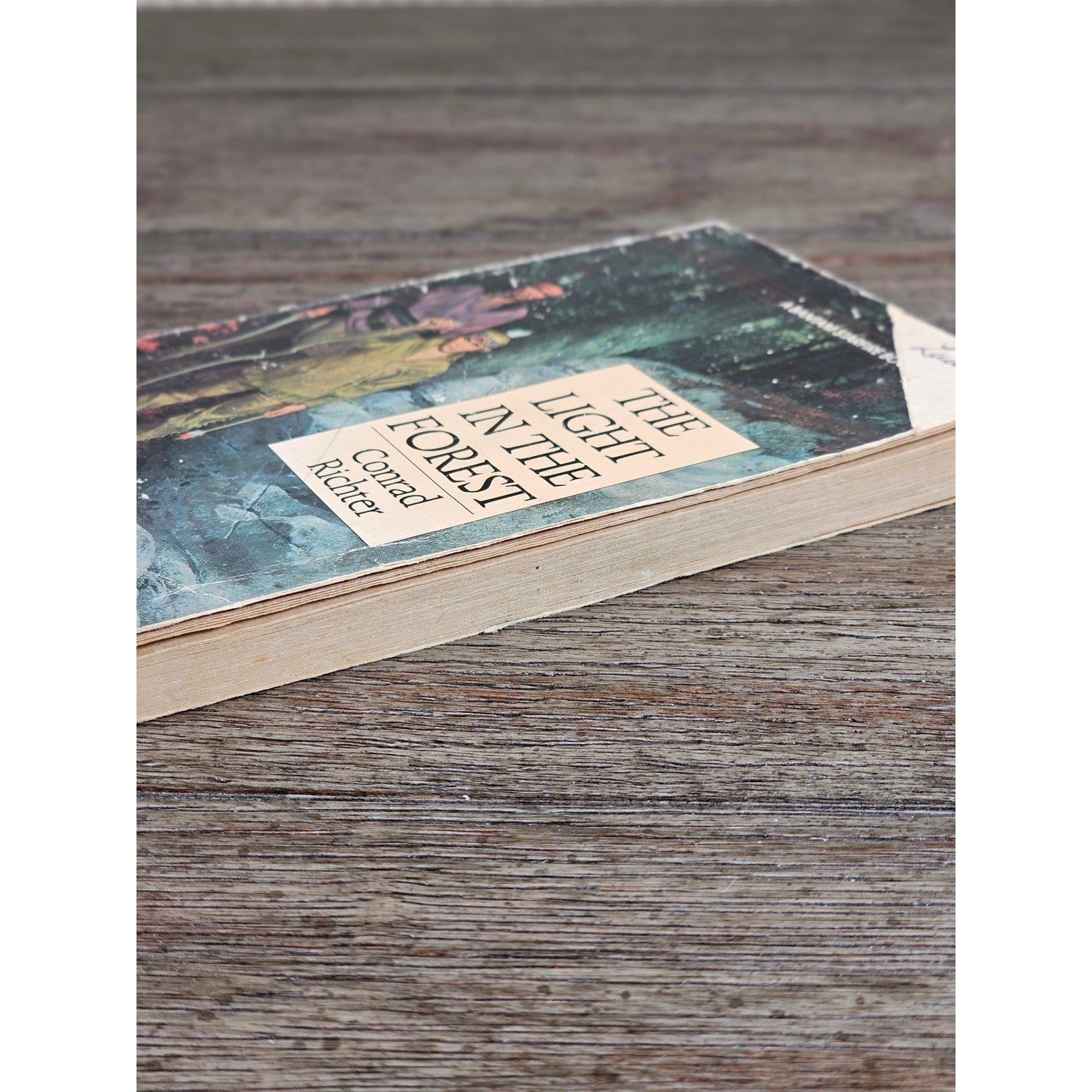 The Light in the Forest Conrad Richter Bantam 1968 Paperback