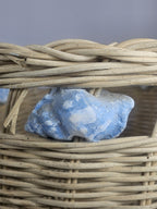 Vintage Wicker Basket with Blue Painted Conch Shells 13″ x 15″ Coastal Rustic